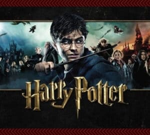 Harry Potter kinderfeest