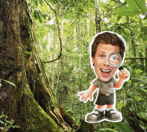 Freek vonk kinderfeest