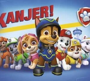 paw patrol hondjes