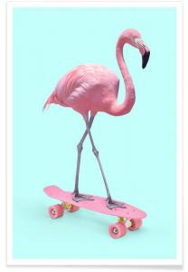 Flamingo op skatebord