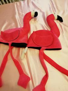 Flamingofeest (9)